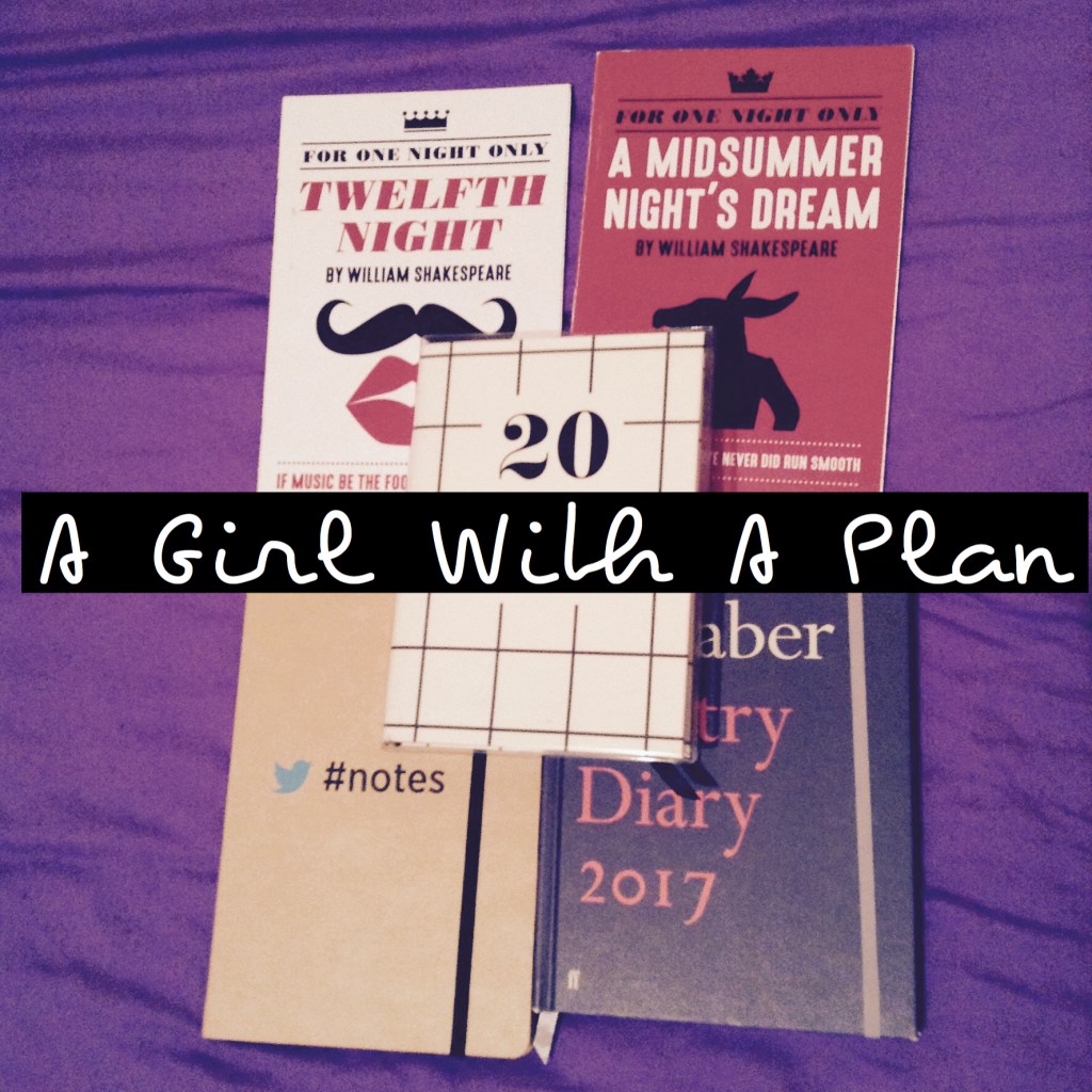 Introducing: A Girl With A&nbsp;Plan