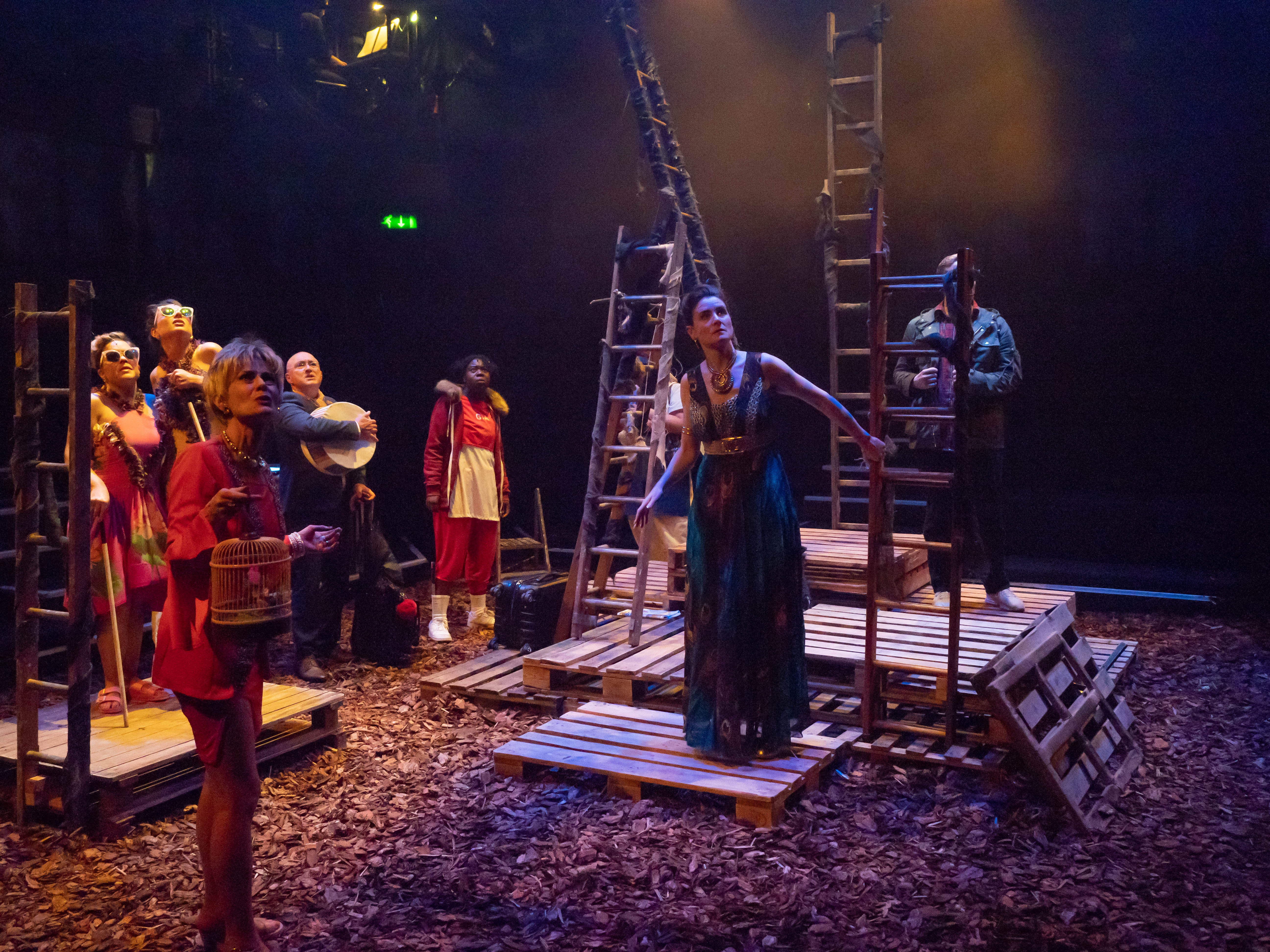 Into the Woods (photo by David Ovenden) (2)