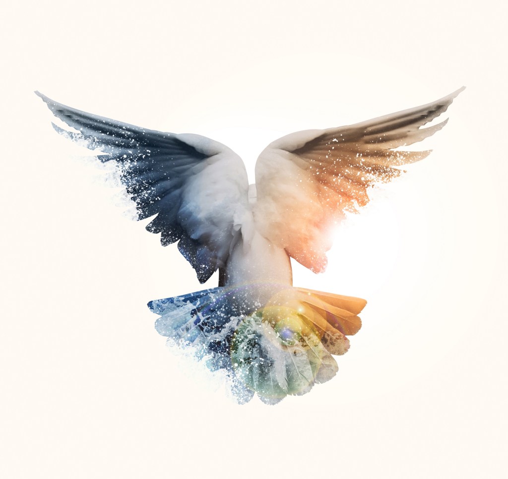 Quick Fire Questions | Scott Alan on The Distance You Have&nbsp;Come.